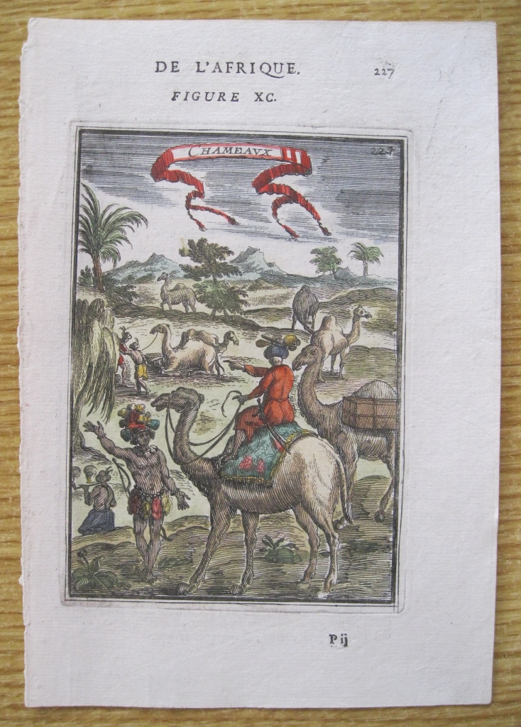 Camellos africanos, 1683.Mallet